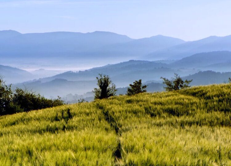 Umbria With Kids - Children in splashpool